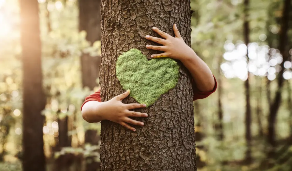 iStock 1226721220 980x574